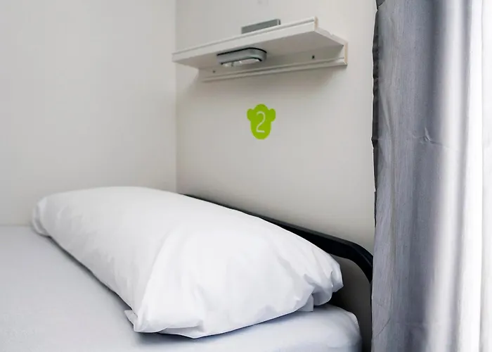 Albergue Meeting Point